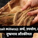 Foxtail Millets: अर्थ, उपयोग, लाभ, दुष्प्रभाव और कीमत