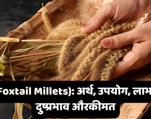 Foxtail Millets: अर्थ, उपयोग, लाभ, दुष्प्रभाव और कीमत