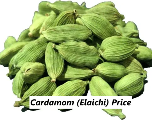 Cardamom Price