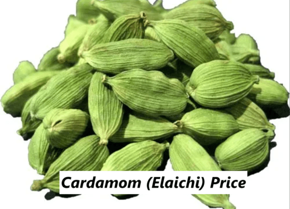 Cardamom Price